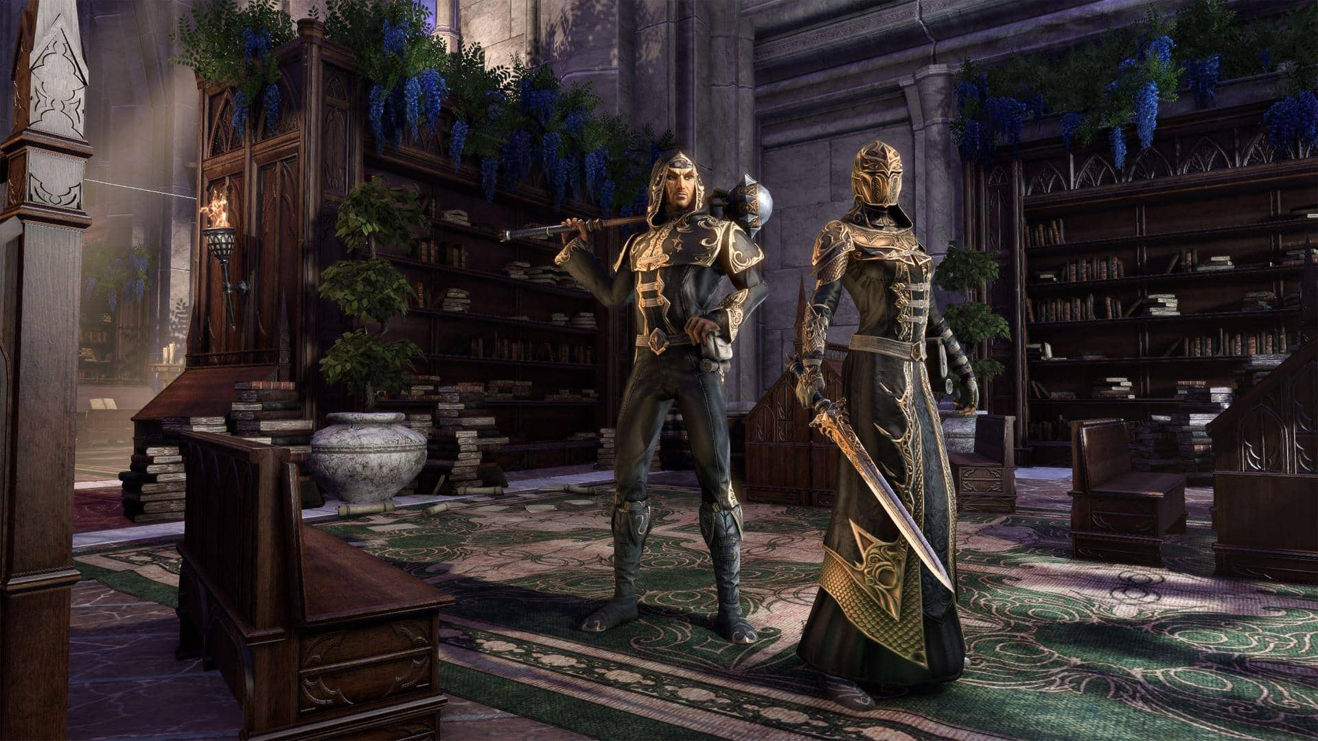 サマーセットで遭遇する組織の紹介 Teso Eso エルダー スクロールズ オンライン Dmm Games