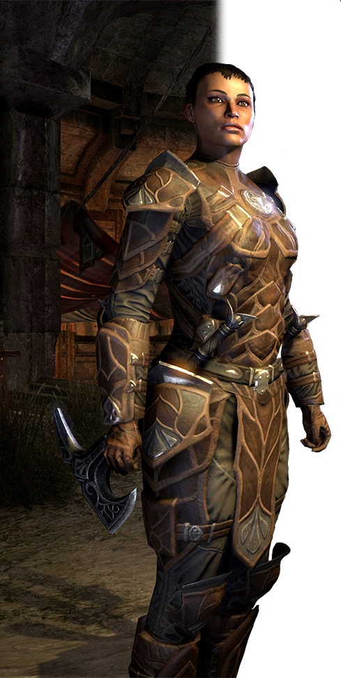 skyrim restore the thieves guild skyrim restore the thieves guild