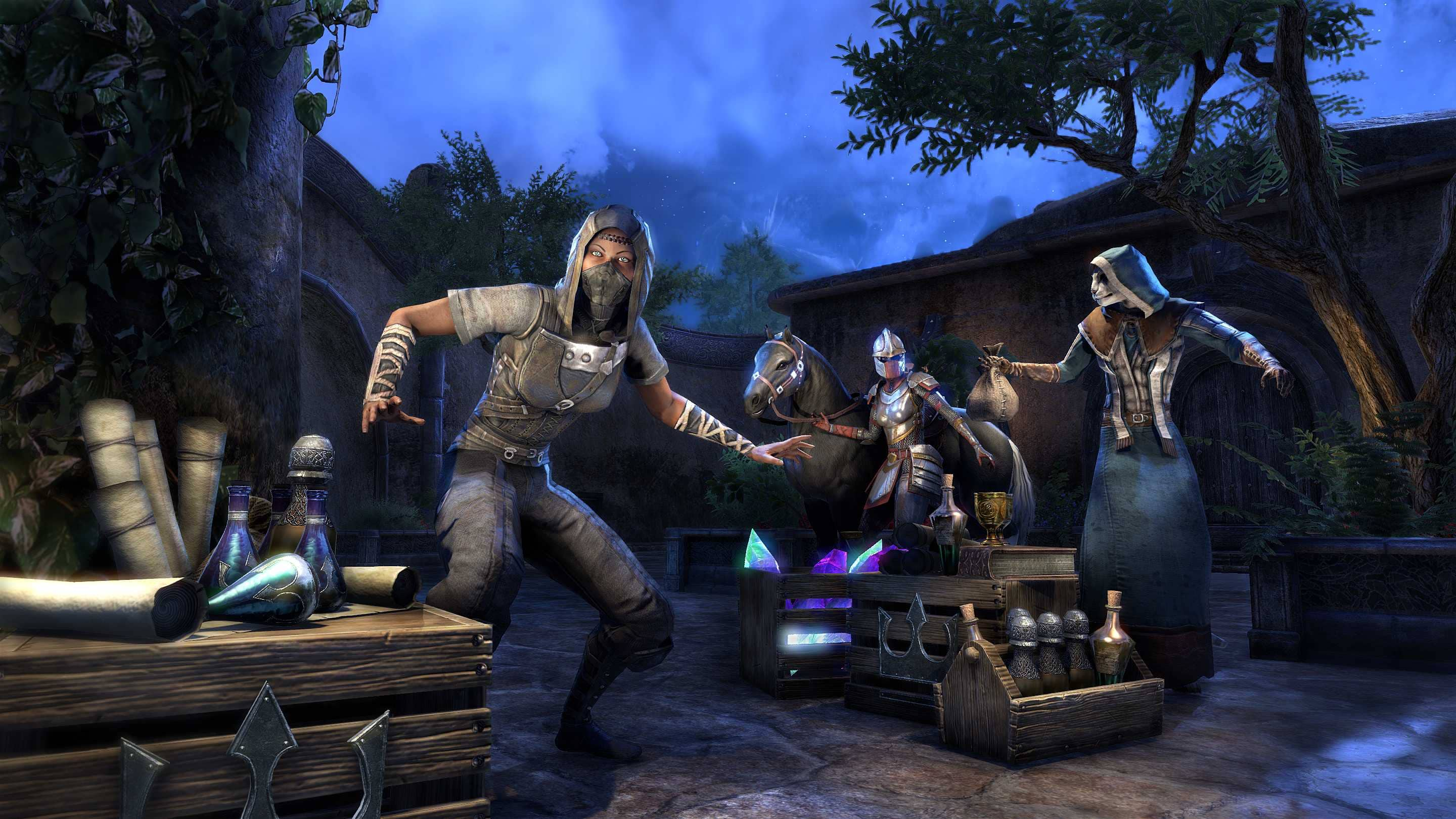 The Elder Scrolls Online - Newcomer Pack no Steam