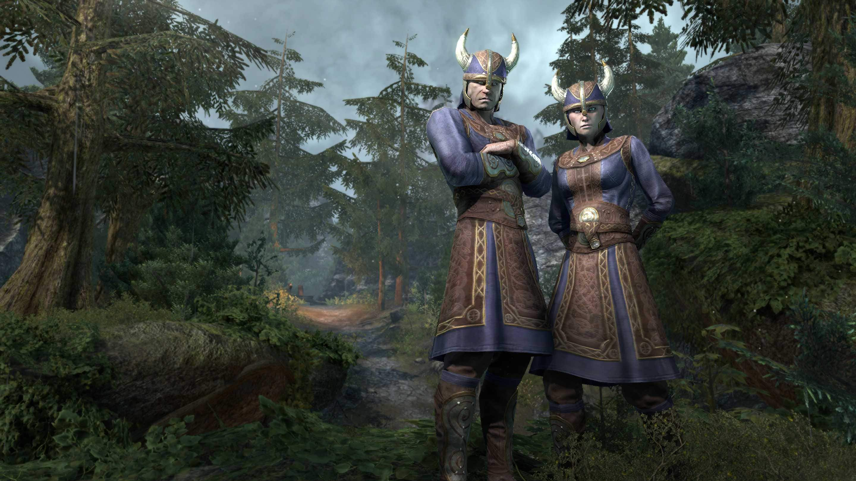 The Elder Scrolls Online Update 40--Along With the Endless Archive