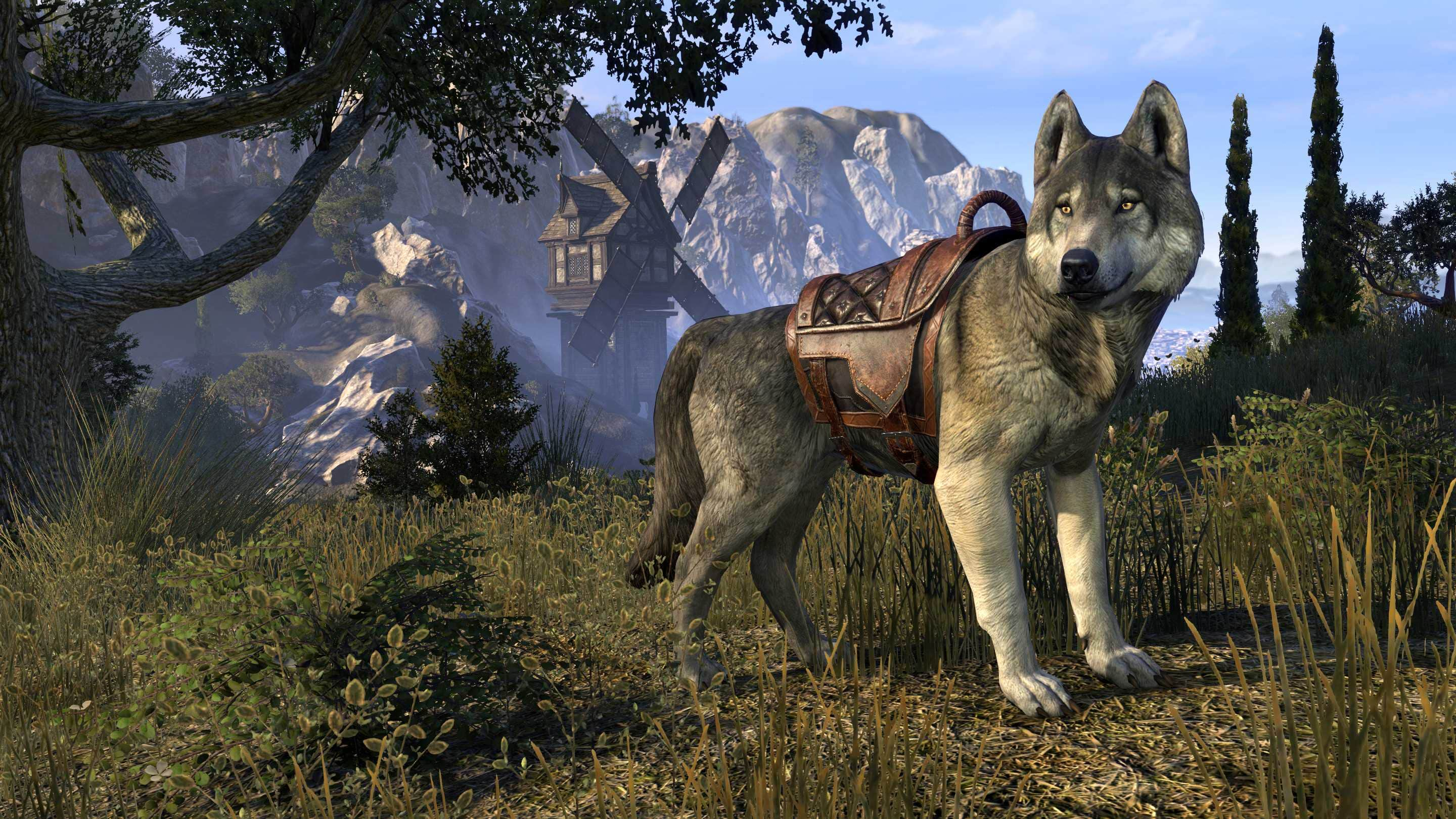 canines-the-elder-scrolls-online