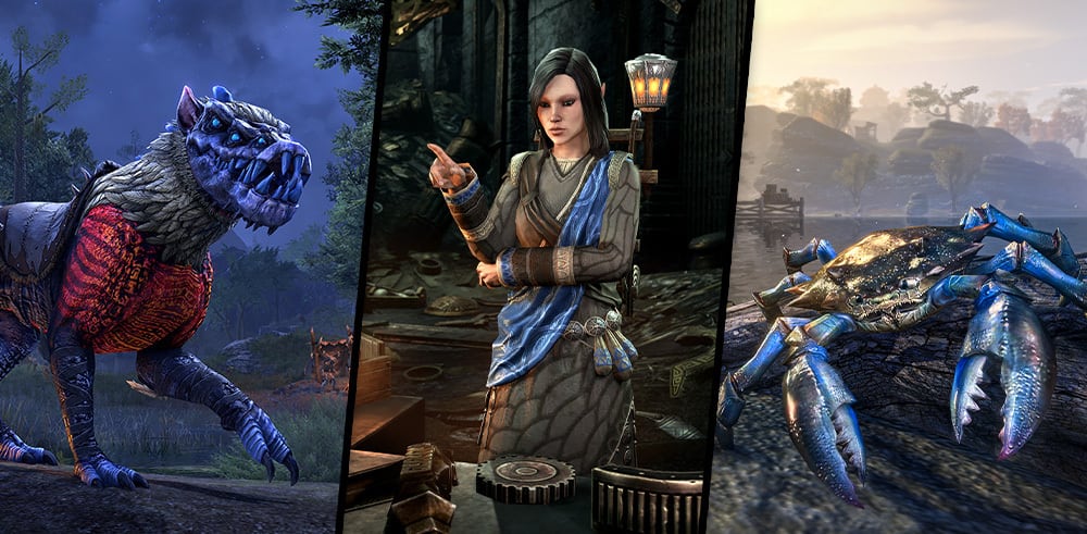 PTS crown store costumes. — Elder Scrolls Online