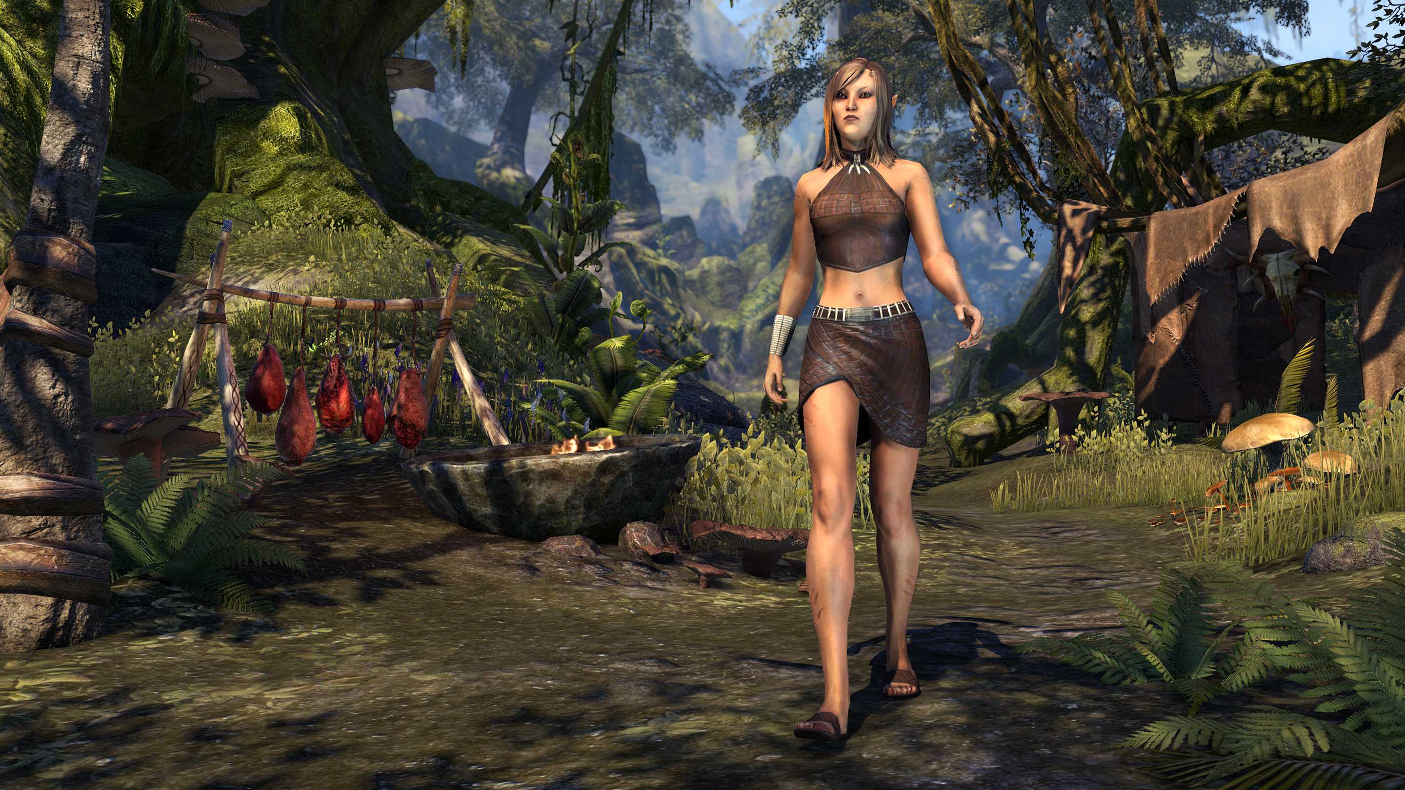 ESO: Summerset is Coming to the PTS!