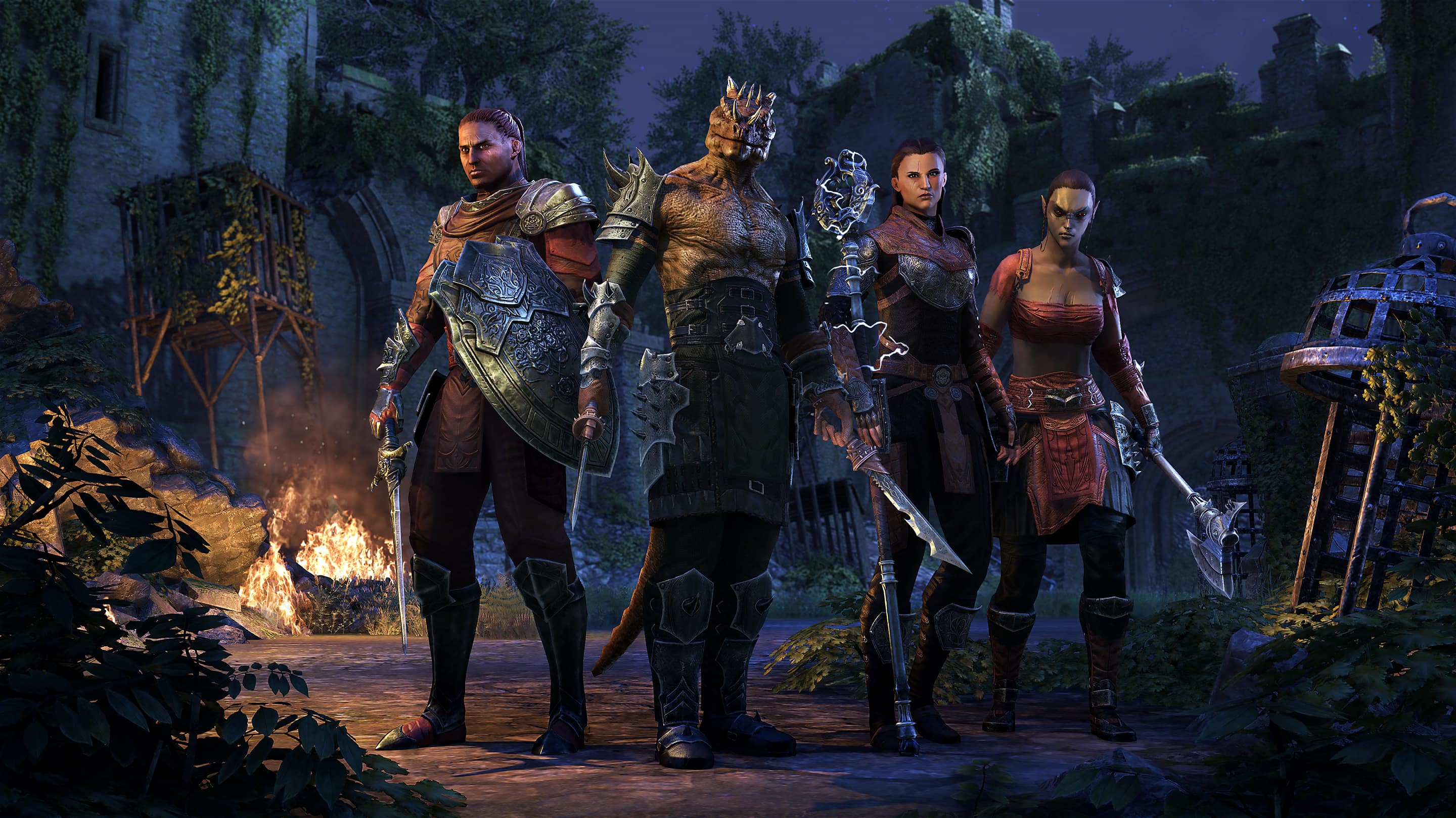 Elder Scrolls Online (ESO) Performance