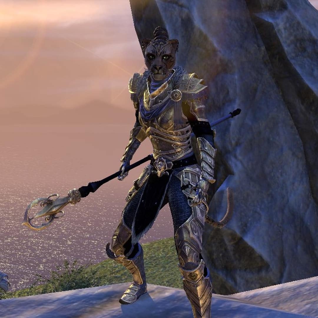 The 2022 ESO Community Fashion Khajiitwalk - The Elder Scrolls Online