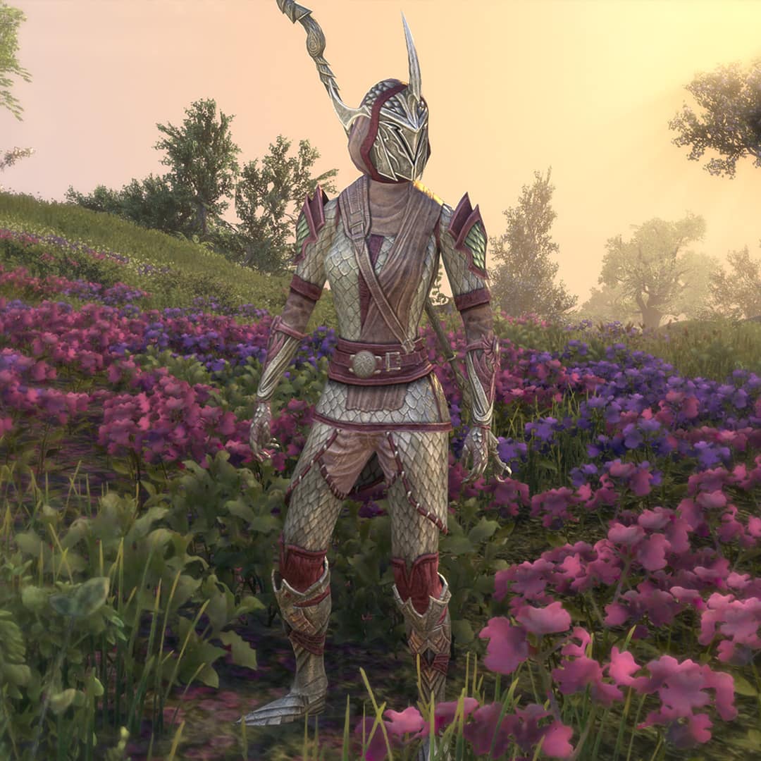 The Elder Scrolls Online on X: In anticipation of Fashion Week