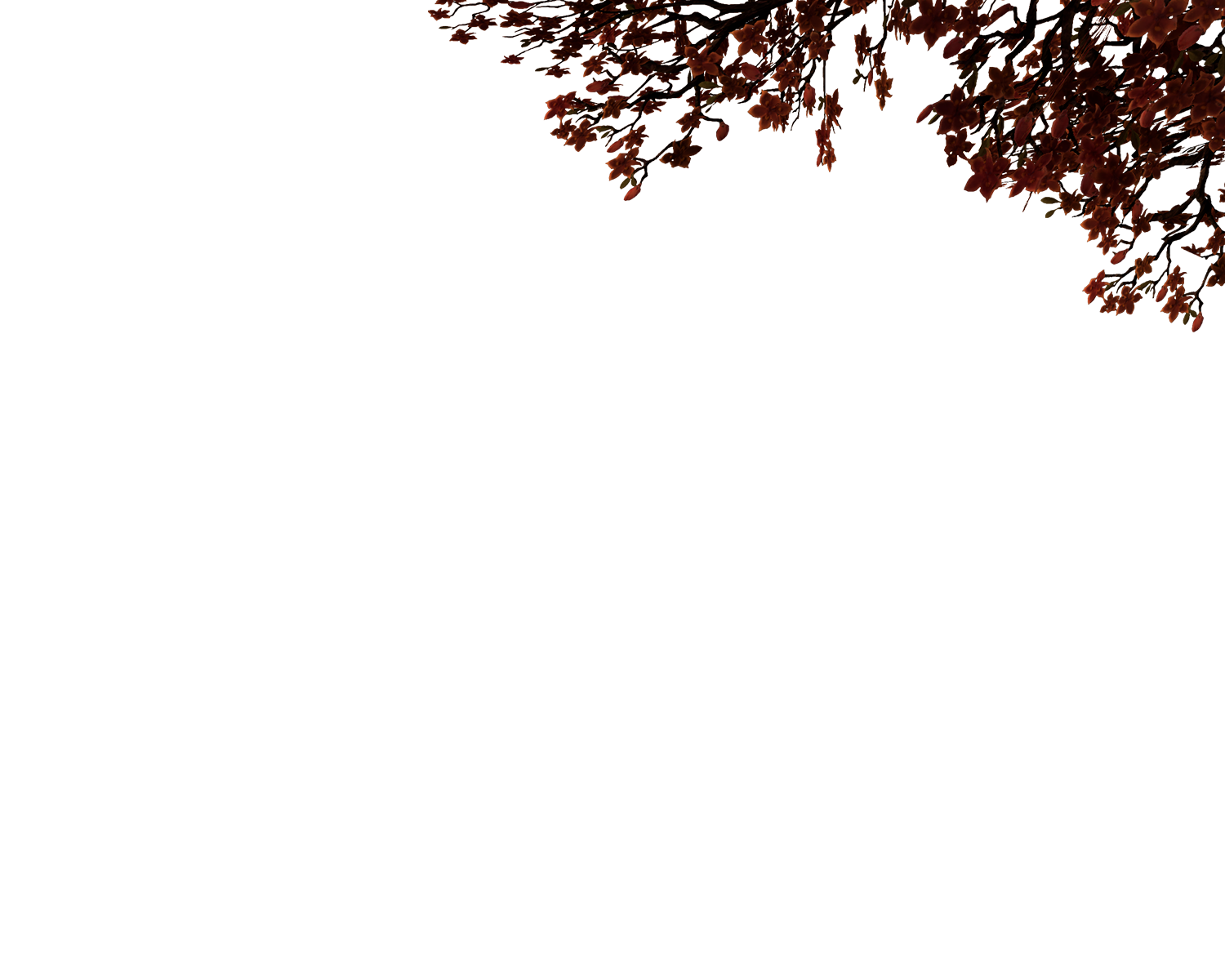 The Elder Scrolls Online: Scribes of Fate - The Elder Scrolls Online