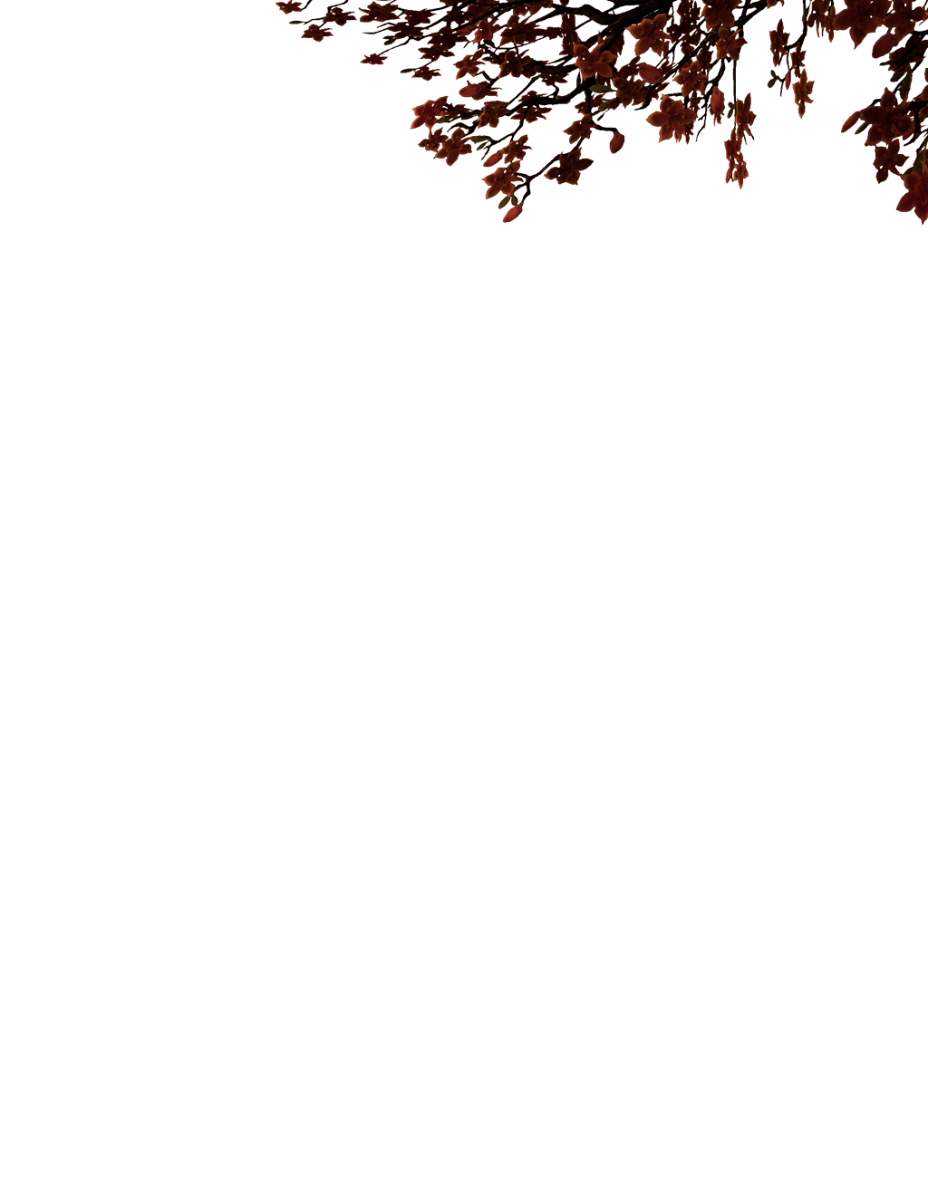 The Elder Scrolls Online: Scribes of Fate - The Elder Scrolls Online