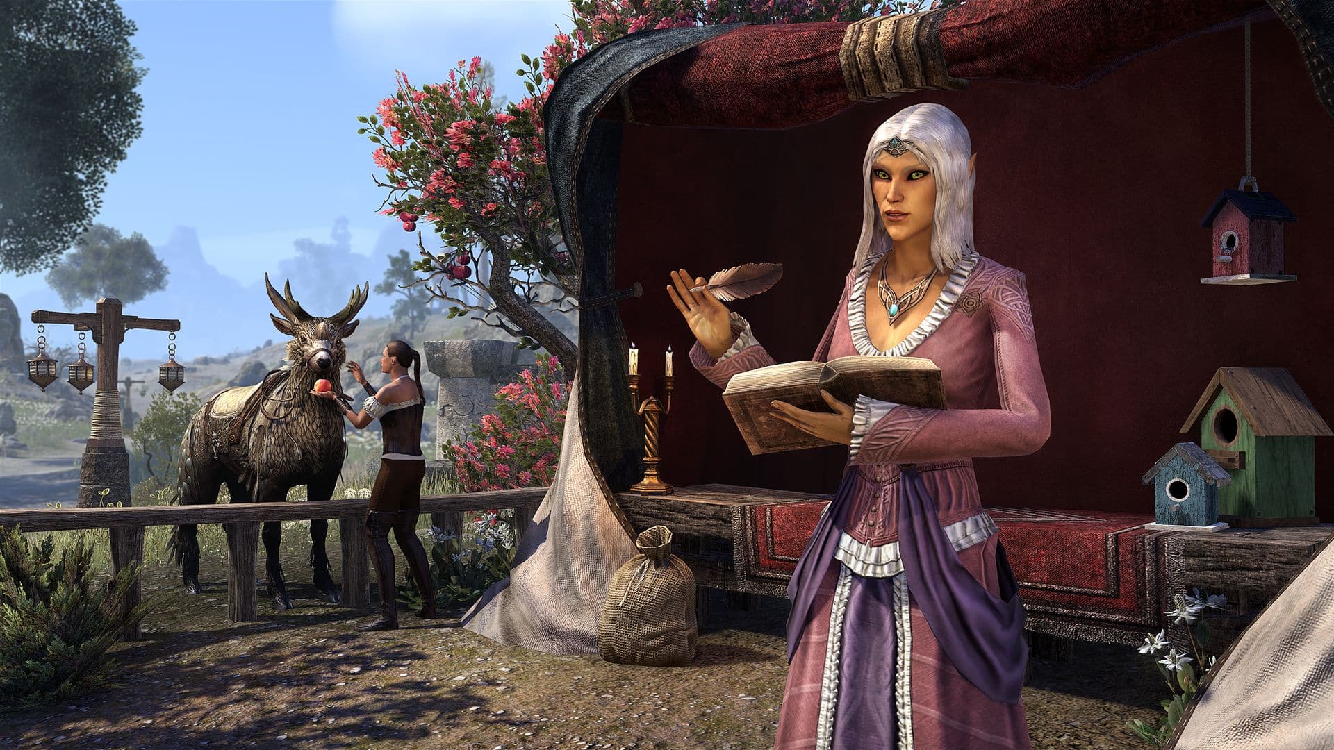 Elder Scrolls Online Whitestrake's Mayhem PVP Event Starts February 17th -  Fextralife