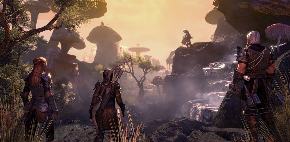 The Elder Scrolls Online Update 40