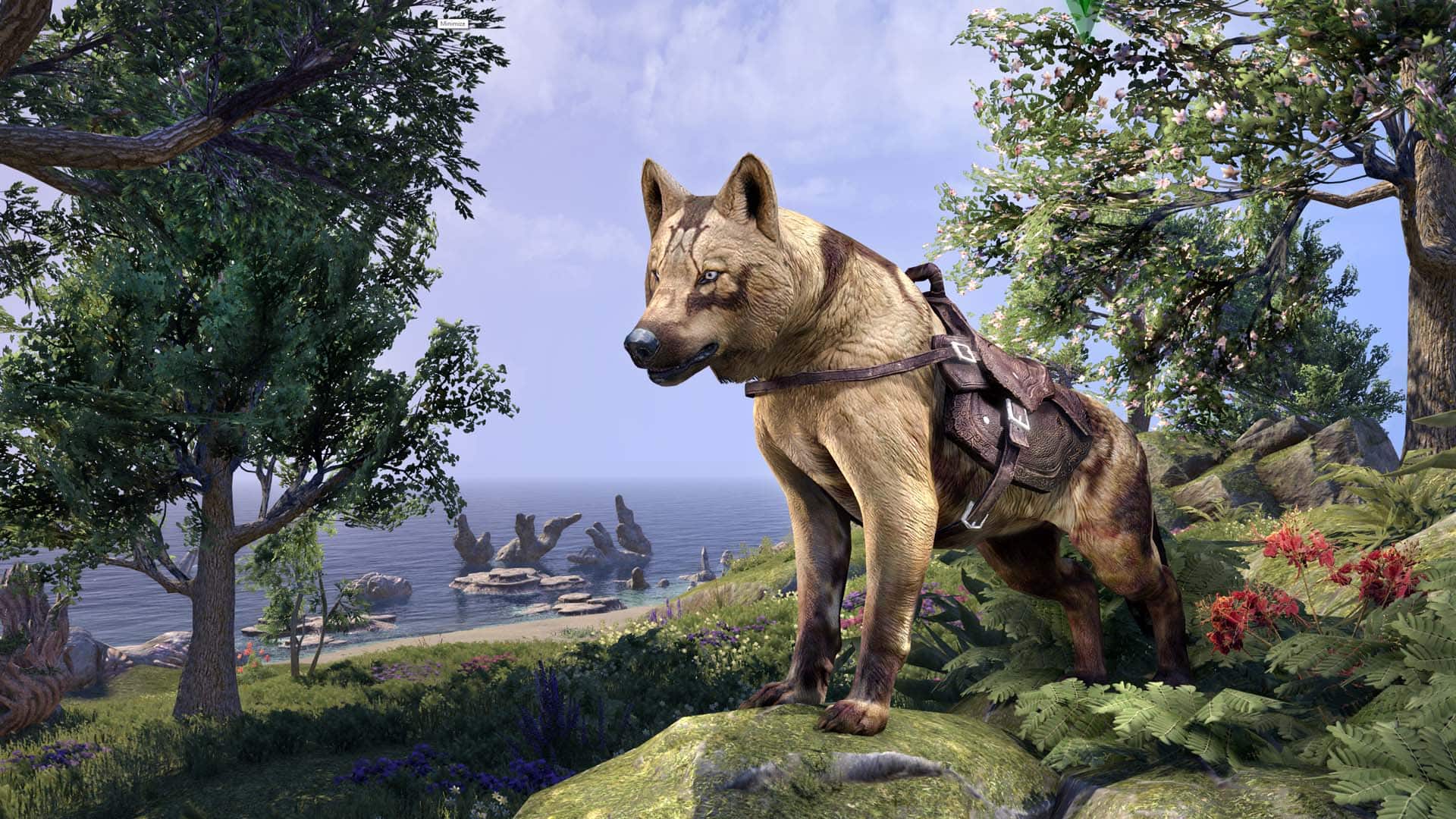 The Elder Scrolls Online Presented the Crown Store Showcase for May 2024