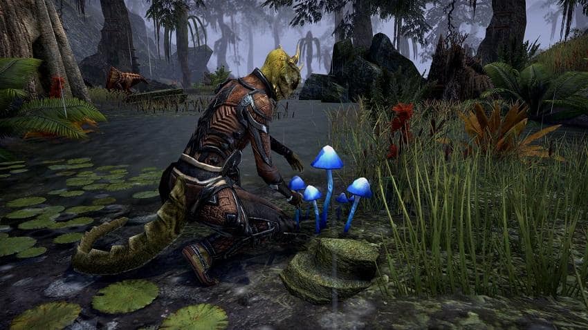 The Elder Scrolls Online: Crafting the Perfect MMO - The Escapist