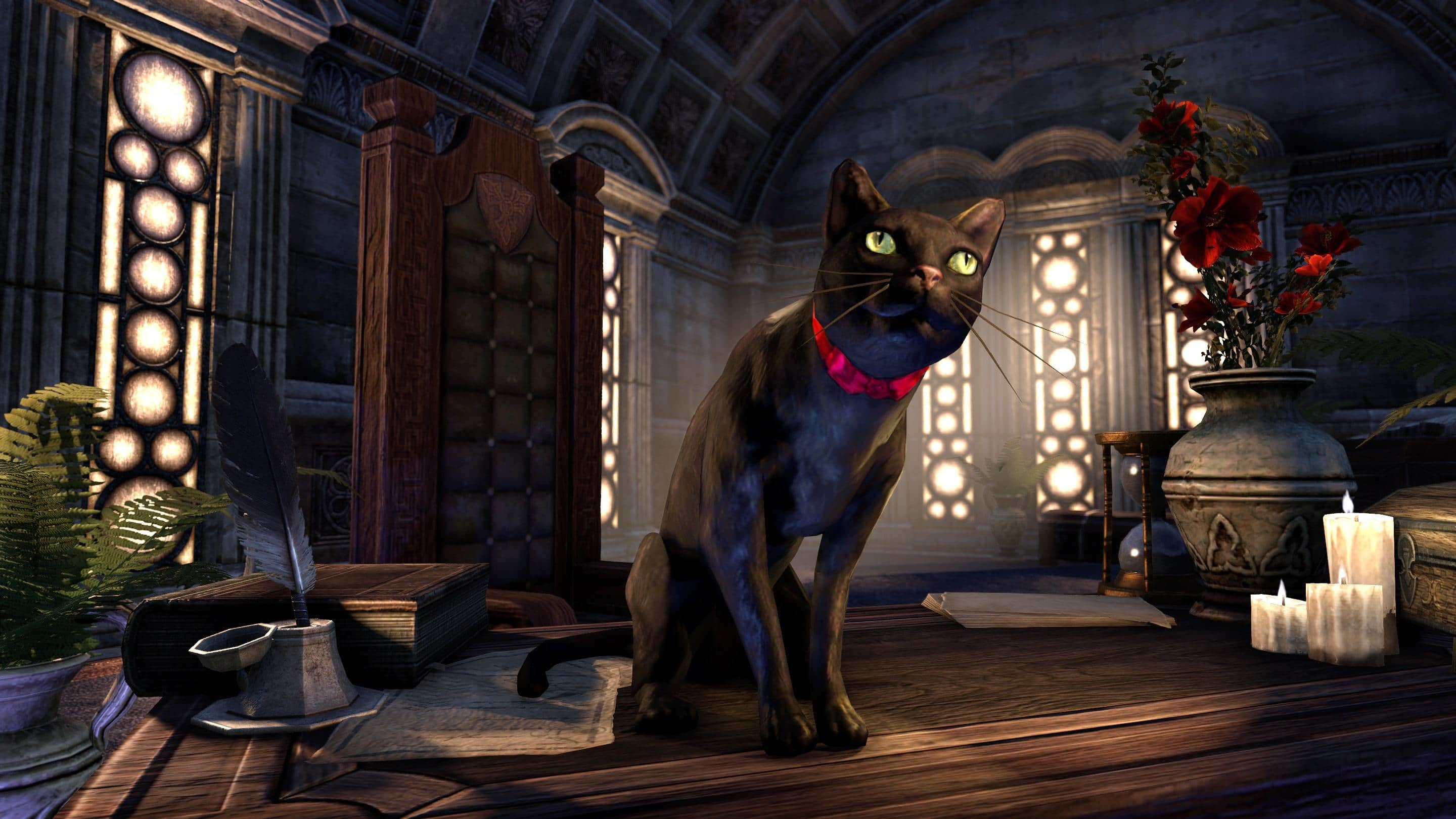 Черная кошка играть. The Elder Scrolls кошки. Котик из компьютерной игры. Черный кот из игры. Игра черный кот.