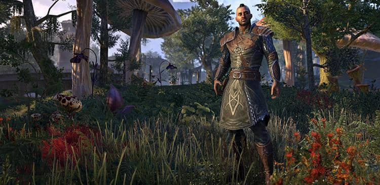 The Elder Scrolls Online: Morrowind - PlayStation 4