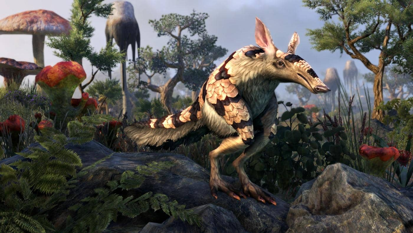 get-a-free-pet-during-the-morrowind-last-chance-event-the-elder