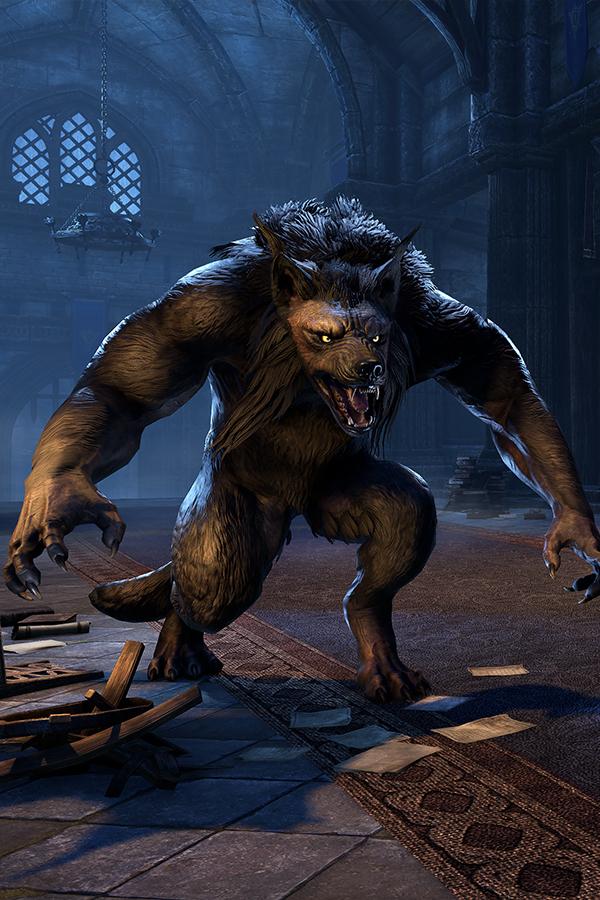 werewolf hunter gear