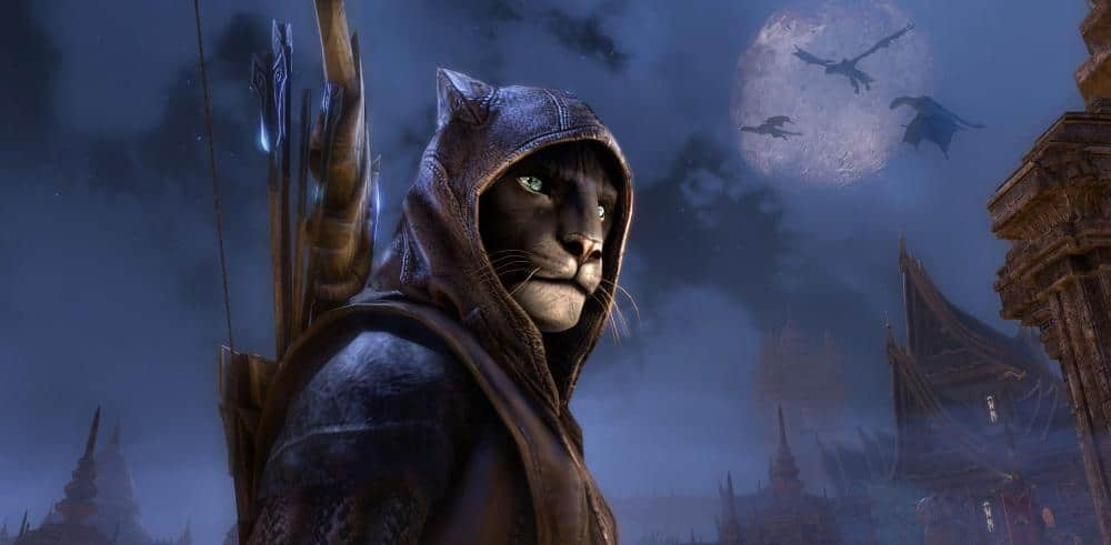 Elder Scrolls Online - Meet the Character