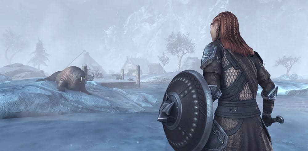 ESO en Russe avec l'arrivée du Chapitre Greymoor Image