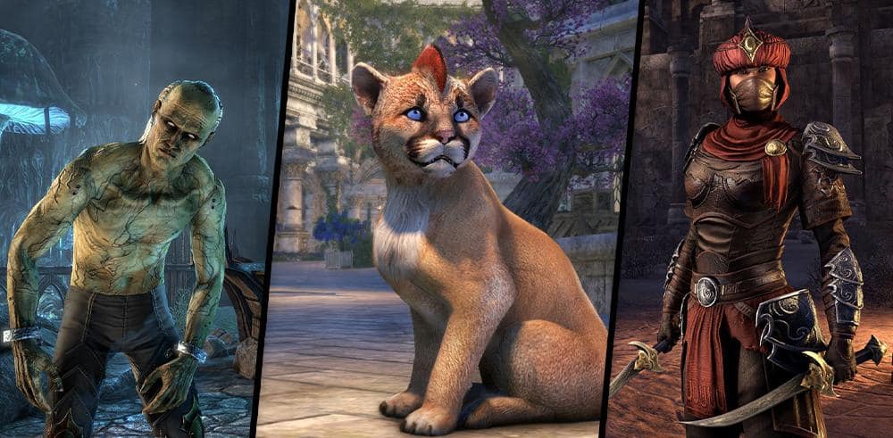 elder scrolls online khajiit dragon knight