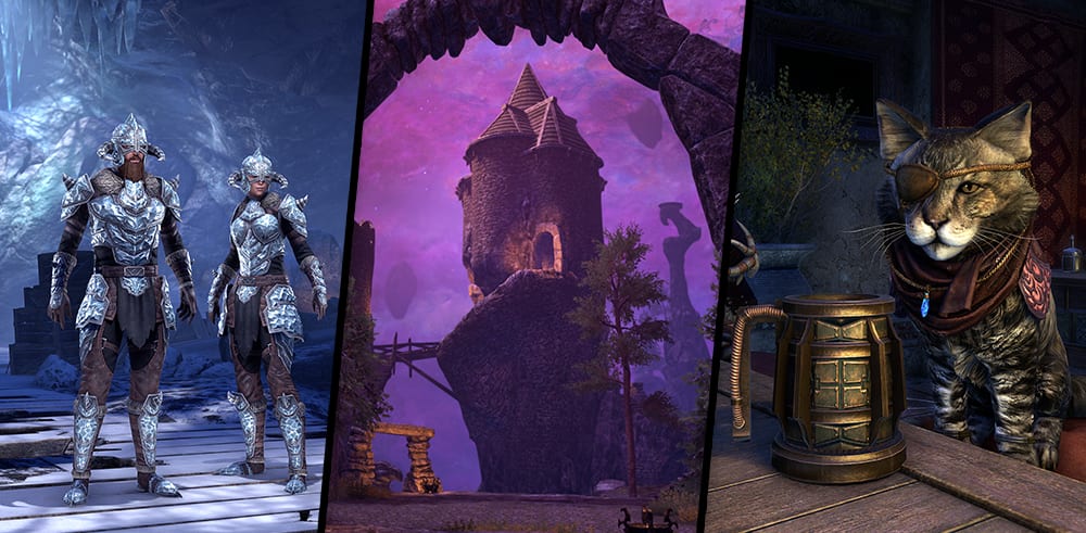 The New Crown Store Item that's got ESO Players Annoyed - ESO Hub - Elder  Scrolls Online