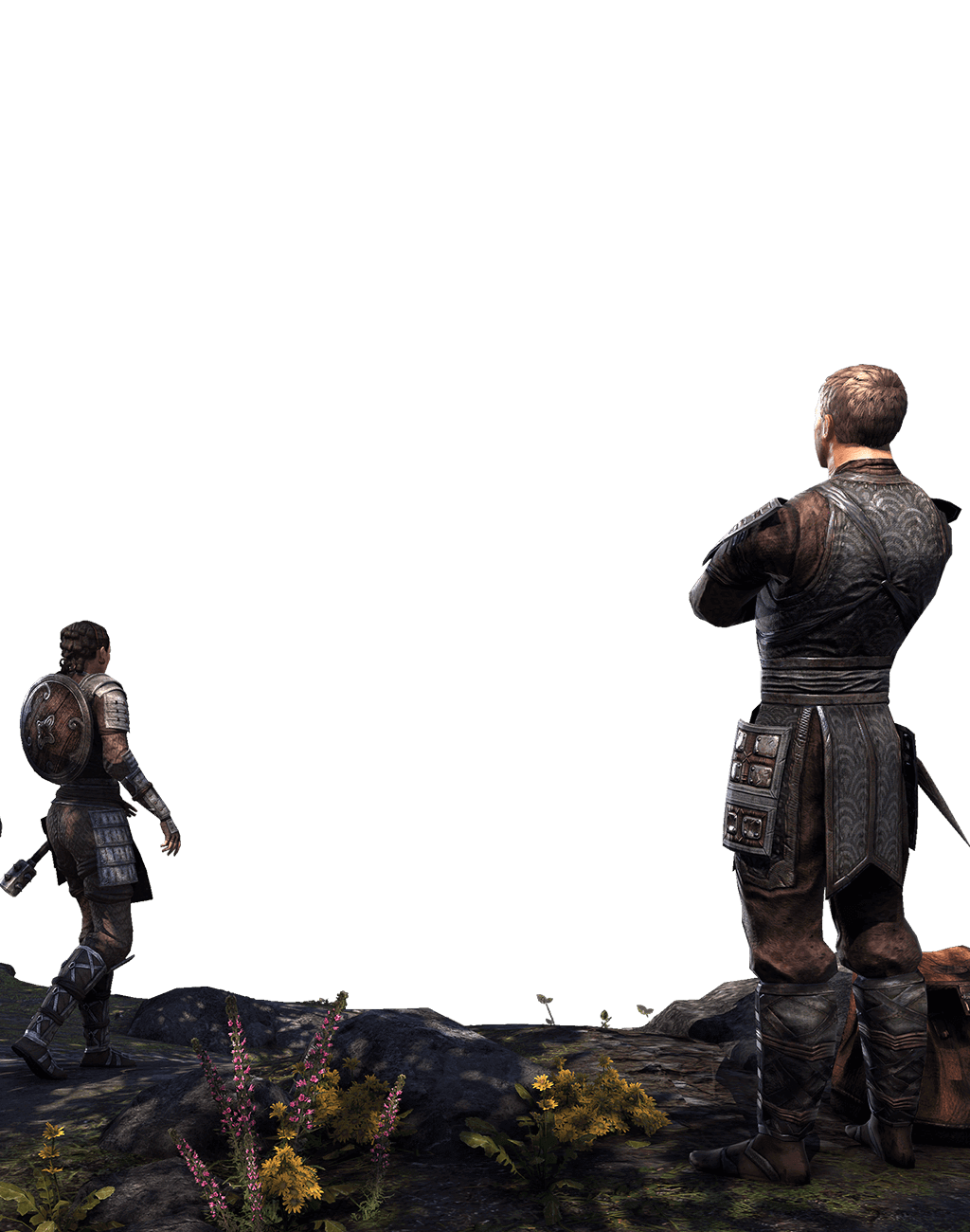 The Elder Scrolls Online Blackwood The Elder Scrolls Online