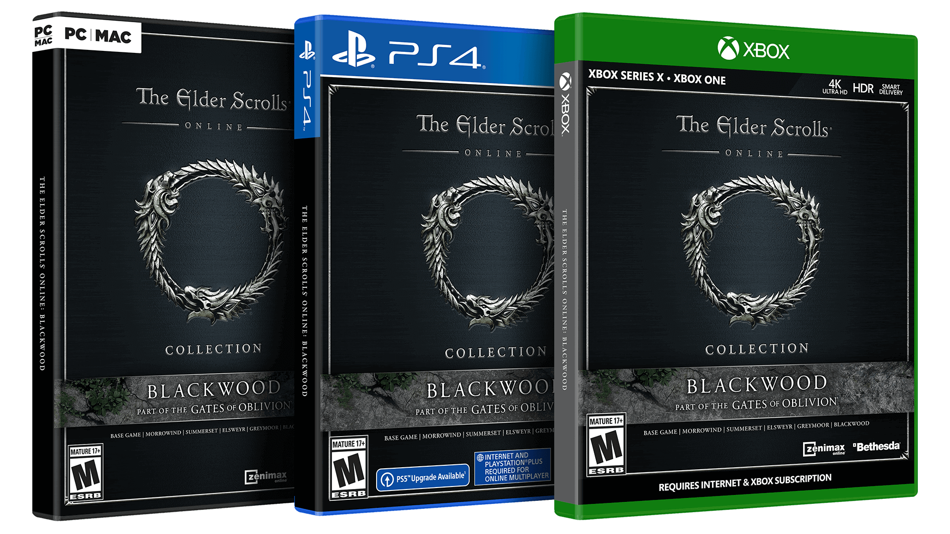 the elder scrolls online digital download windows sale