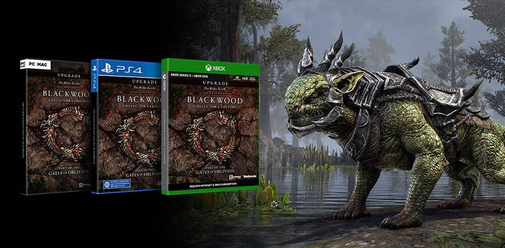 The Elder Scrolls Online - Newcomer Pack no Steam