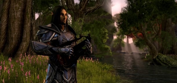 Elder Scrolls Online  Zenimax Listens to Its Community Once Again